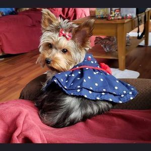 Meet your Posher, Lena